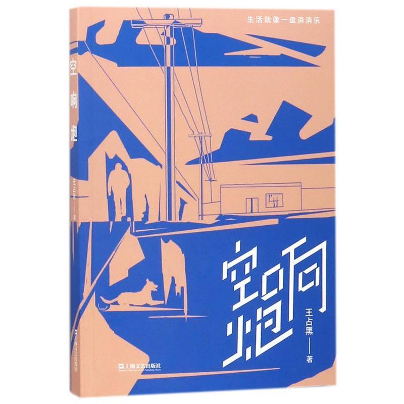 【48小时内发货】  短篇小说：空响炮 王占黑 上海文艺出版社 9787532165537