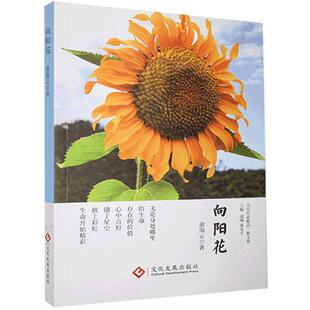 24小时后发货 社 散文集：向阳花 文化发展出版 9787514232387 俞海云