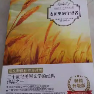 社 張 美 麥田里 貴州大學有限責任公司出版 Salinger 文學 J.D. 著 杰羅姆·大衛·塞林格 快速發貨 守望者