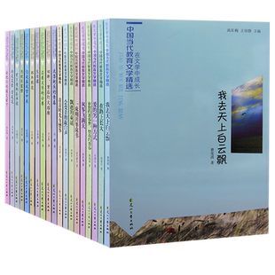 【快速发货】在文学中成长20册爱的另一种方式+风筝飞满天+回眸，背后灯火璀璨+会变音的敲门声+流落街头的青春+那年那夜