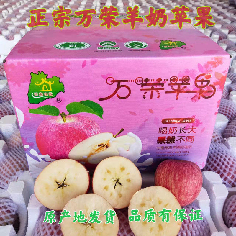 羊奶苹果树领养 山西运城 脆甜苹果