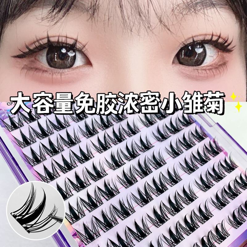 免胶浓密小雏菊假睫毛新手超自然婴儿弯自然仿真单簇透明面料卷翘