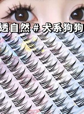 锦瞳美妆懒人免胶自粘犬系假睫毛适合肿眼泡淡妆上镜款漫画妈生感
