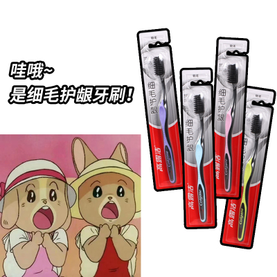 高露洁护龈炭成人单支装