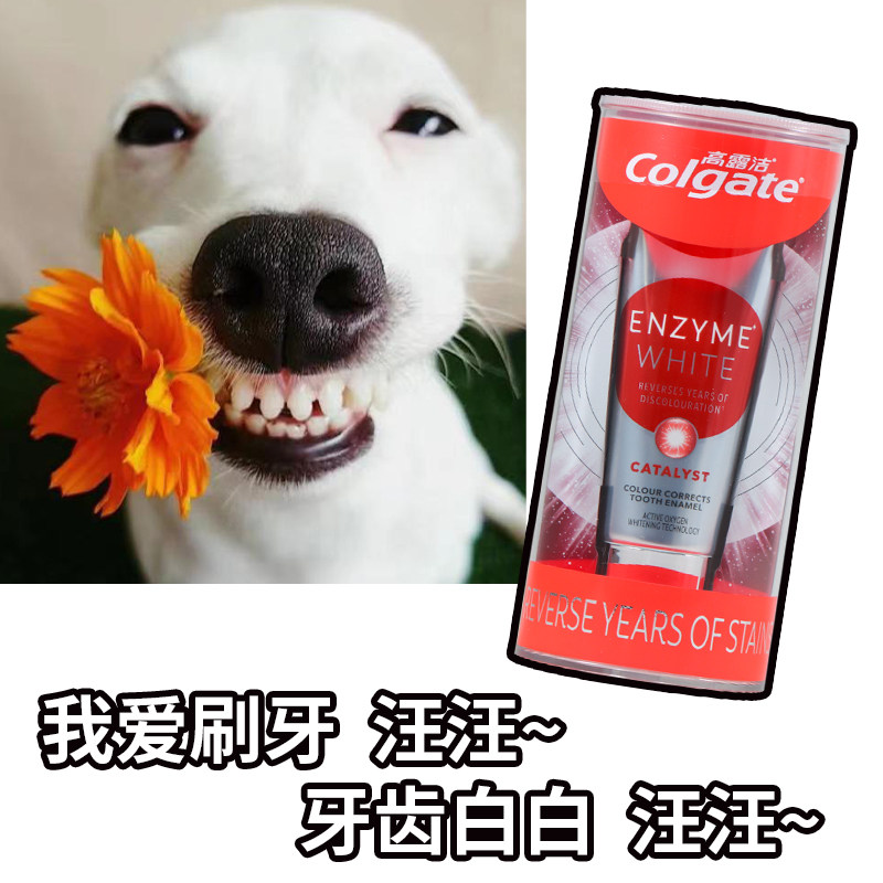 小羊推荐！高露洁活性酵素牙膏牙贴光感无水配方洁白清新口气101g