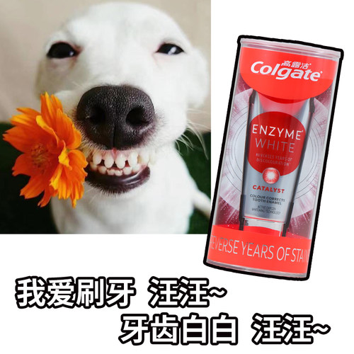 高露洁活性酵素牙膏牙贴