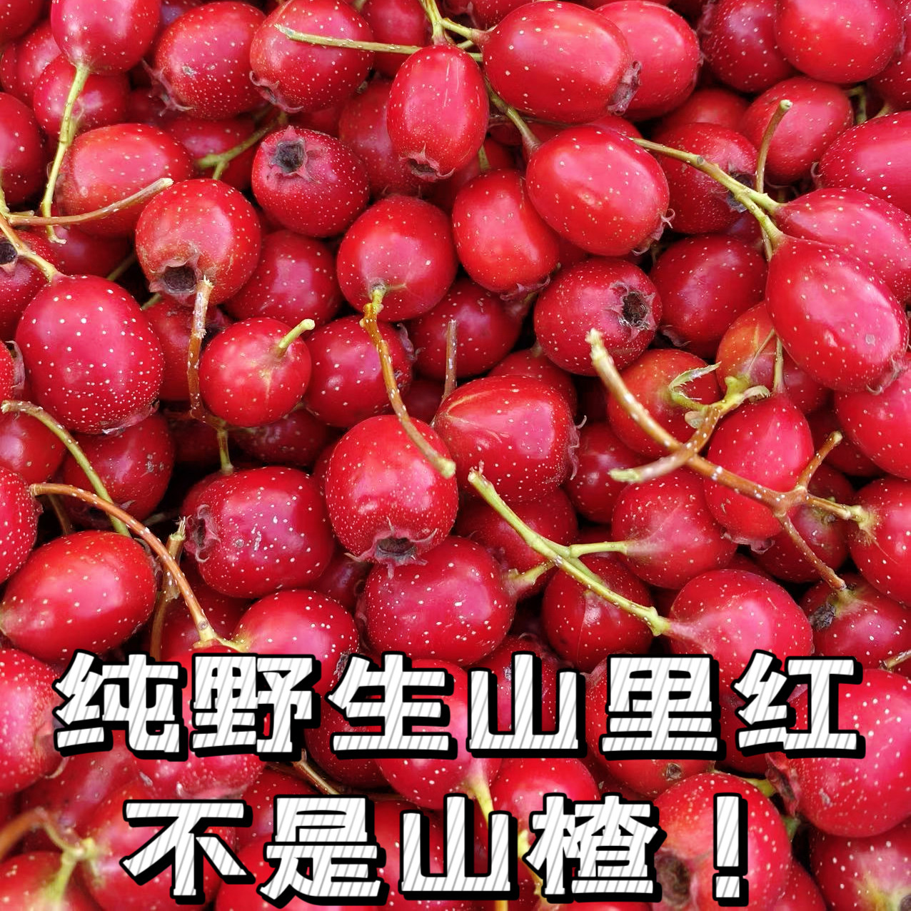 山里红新鲜水果东北野生山里红不是小山楂孕妇水果3斤装多省包邮