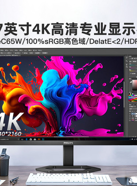 Philips飞利浦27英寸4K显示器IPS高清台式电脑升降旋转27E1N5900R