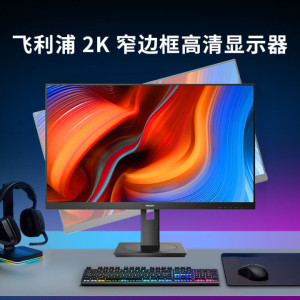 飞利浦24英寸2K显示器电脑办公显示屏家用直面高清屏幕245S9RB