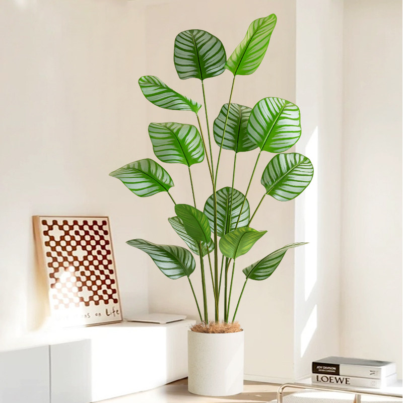高端轻奢仿真绿植苹果竹芋北欧室内客厅落地装饰沙发旅人蕉摆件,家居饰品,仿真植物盆景,淘宝优惠券,粉丝福利购,淘宝优惠卷