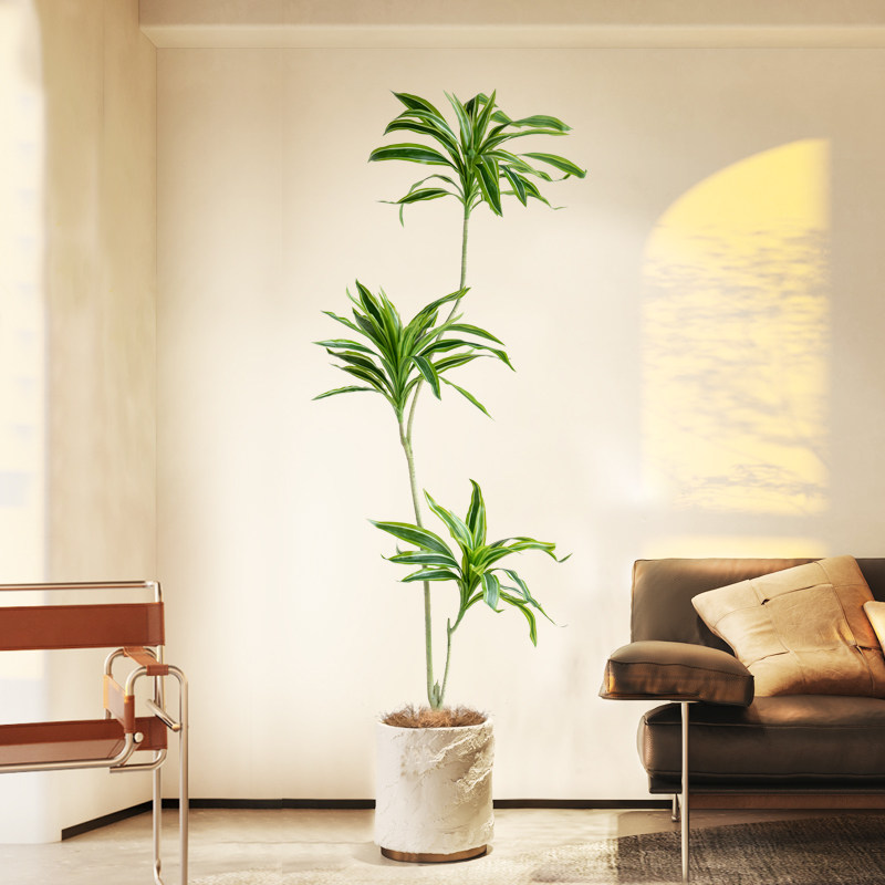 大型侘寂风客厅仿真绿植盆栽美人铁树假植物室内玄关落地装饰摆件,家居饰品,仿真植物盆景,淘宝优惠券,粉丝福利购,淘宝优惠卷