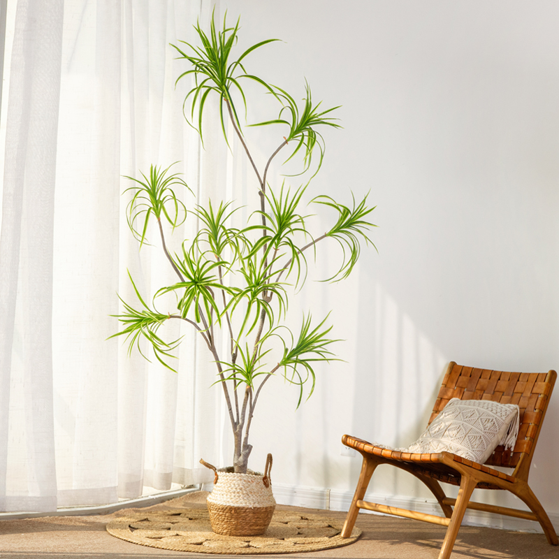 大型仿真植物龍血鐵樹仿生綠植