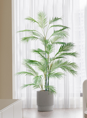 仿真绿植凤尾葵植物造景盆栽