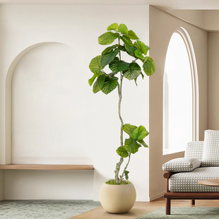侘寂风网红大型仿真植物室内落地装饰盆栽心叶榕仿生假绿植摆件树