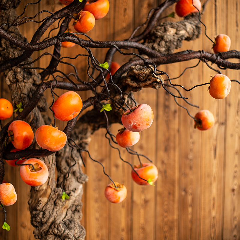 七茉壁挂式高档吊柿子造景藤条