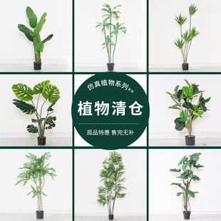清仓售完无补货微瑕疵仿真绿植盆栽落地假树植物室内客厅装饰摆设