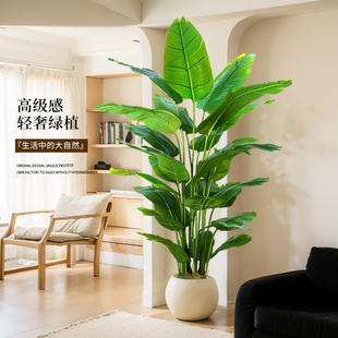高端轻奢仿生天堂鸟仿真绿植客厅落地大植物造景盆栽摆件装饰花