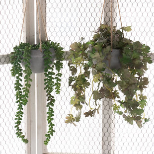 假花仿真花悬挂植物小盆栽吊挂仿生绿植装饰造景阳台吊兰盆景摆件