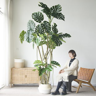 饰龟背竹落地摆件橱窗景观 仿真绿植大型巨型龟背树盆景植物高端装