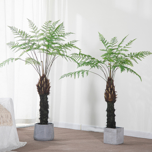 北欧ins风仿生绿植仿真植物造景银蕨室内橱窗落地假树装 饰摆件