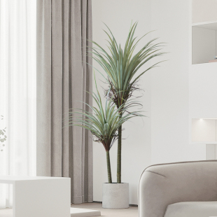 落地仿真绿植盆栽室内客厅大型龙须树假树植物装饰盆景摆件造景