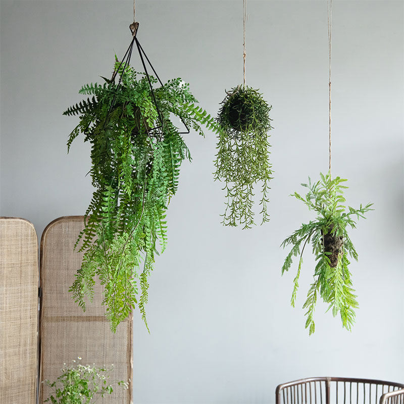七茉 创意仿真吊挂蕨草多肉植物吊饰假绿植店铺橱窗墙面装饰摆件,家居饰品,仿真植物盆景,淘宝优惠券,粉丝福利购,淘宝优惠卷