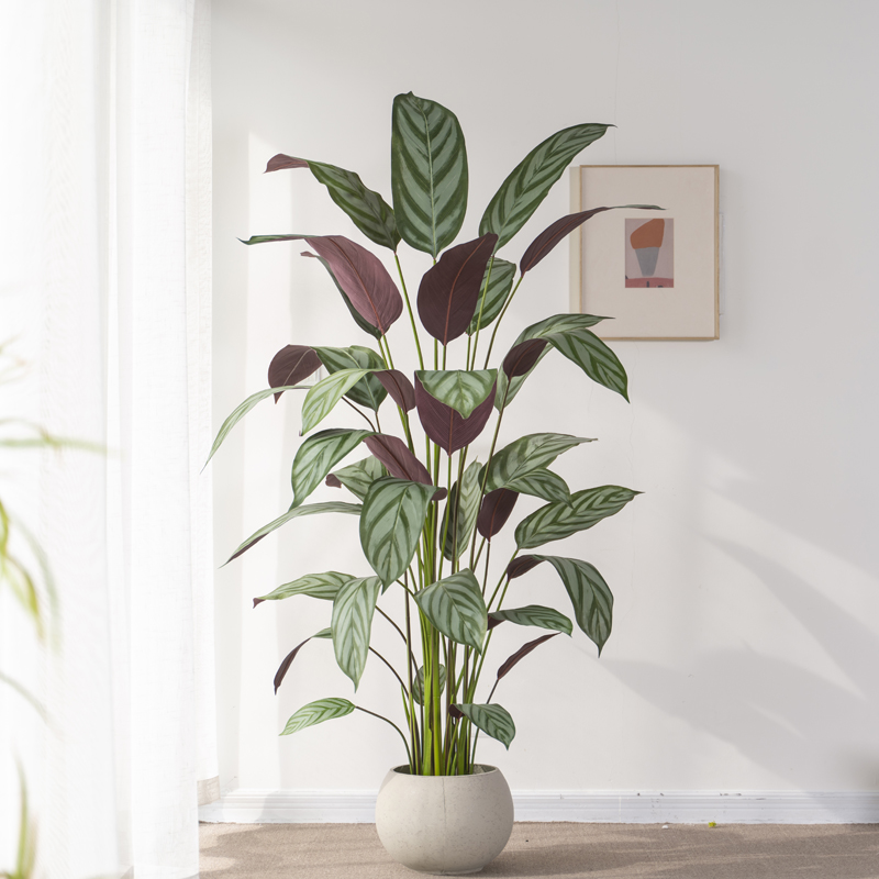 仿真绿植飞羽竹芋植物盆栽