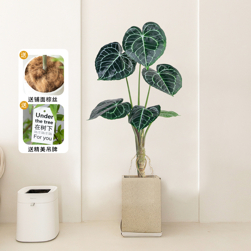 北欧仿真绿植盆栽水晶花烛