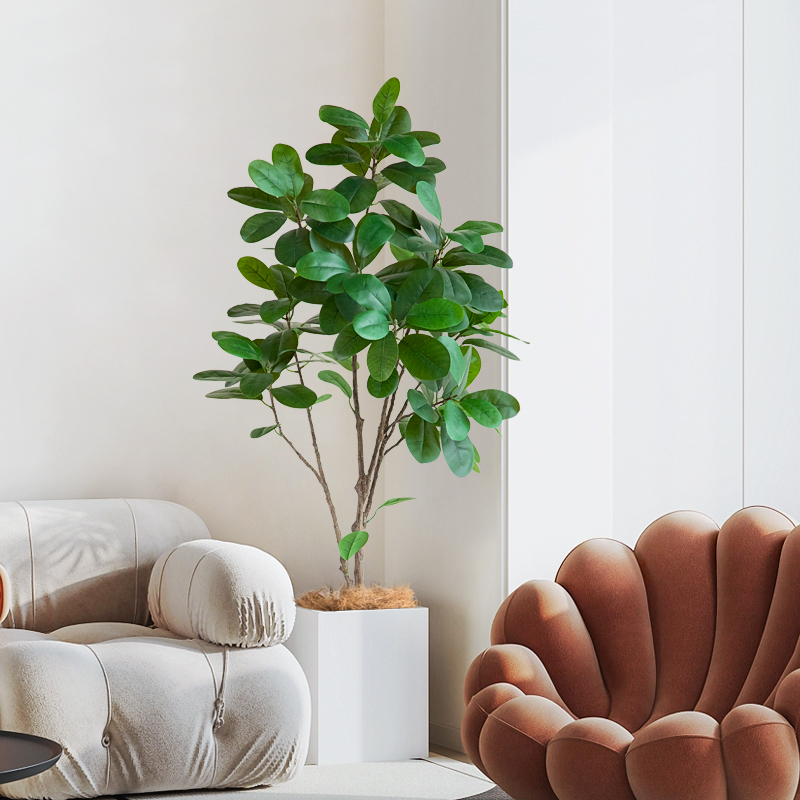 仿真绿植室内装饰盆栽直脉榕