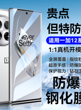 适用一加12钢化膜1加12手机膜11全屏覆盖ace2pro一加10/9/8/7/6防窥pro新款rt水凝膜陶瓷2v防摔保护贴膜十一