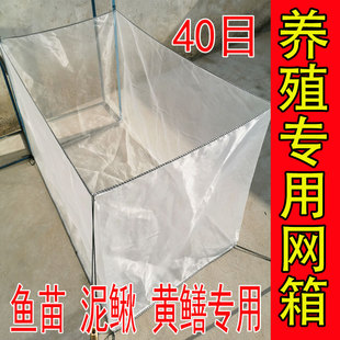 养泥鳅黄鳝养殖网箱专用40目80目鱼苗蝌蚪养鱼孵化尼龙网育苗加厚