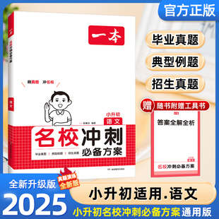2025新版一本名校冲刺必备方案 小升初语文通用版 小学六年级升学考试知识大集结 小升初专项训练真题卷系统总复习资料一本通