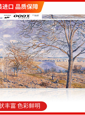 现货AKEY密匙成人拼图玩具1000片 梵高 塞纳河之村庄