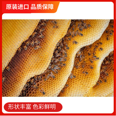 瑞典进口艺术拼图大自然