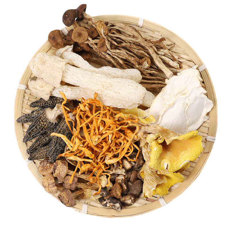 哈妞营养菌菇姬松茸云南野生菌