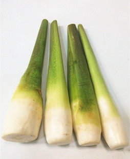 新鲜茭白  带皮茭白  500g  京津冀任意6件包邮顺丰