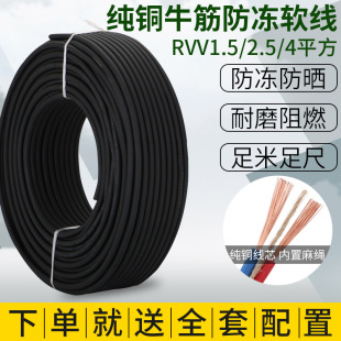 纯铜防冻防水牛筋线户外2.5 1.5 4平方电线软线二芯电缆线护套线