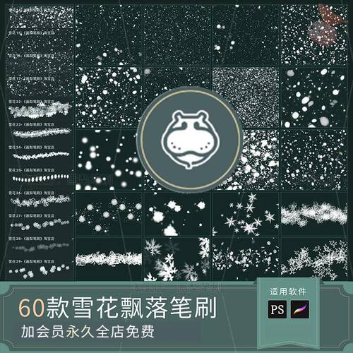 procreate笔刷ps笔刷冬天雪花特效飘雪下雪冰晶唯美雪景插画冰霜