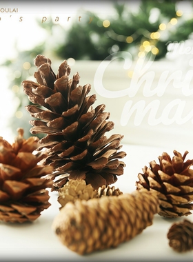 干松果松塔圣诞树装饰配件摆件圣诞DIY手工小物件挂件挂饰圣诞节