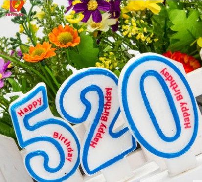 Bougie - Ref 2493722 Image 4