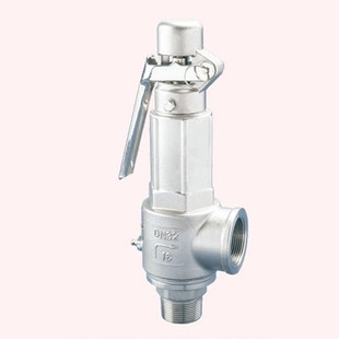 A27W-10P 304不锈钢弹簧微启式安全阀DN10 15 20 25 32 40 50