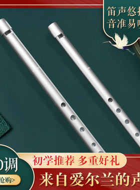 美国NAOMI爱尔兰哨笛C调D调初学儿童专业六孔竖笛高音笛子小学生