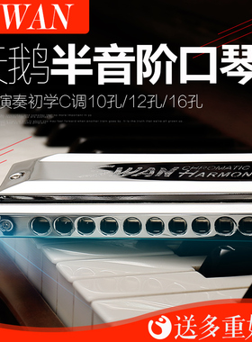 天鹅半音阶口琴SW1040专业演奏儿童初学者学生成人男12孔16专业