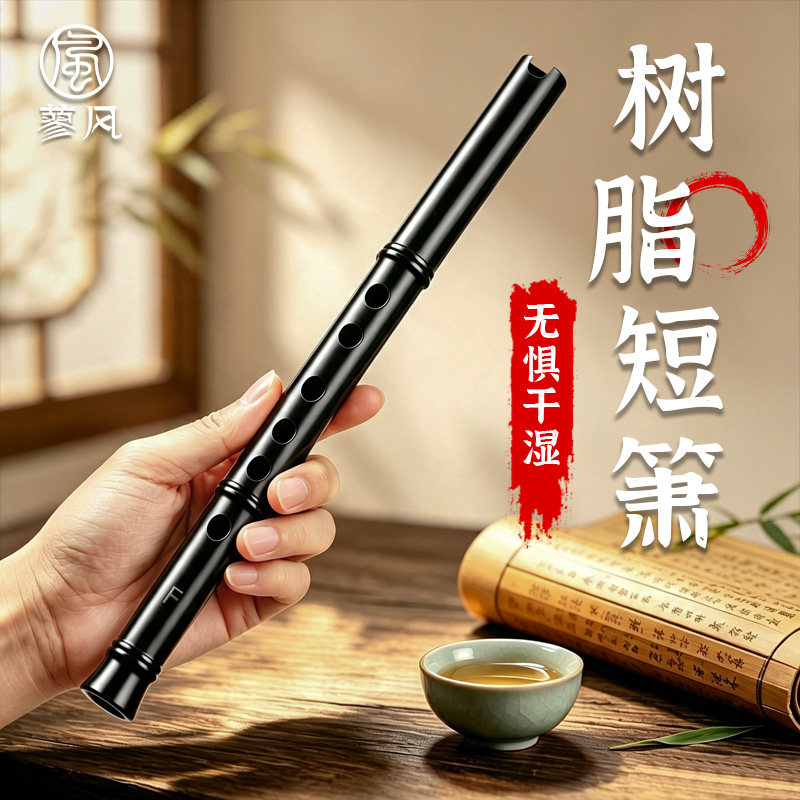 树脂洞箫6孔短笛C调初学者入门六孔D/F调短竹萧专业演奏潇笛乐器