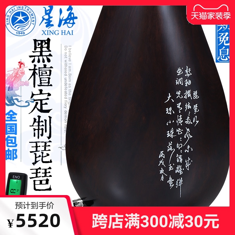 北京星海 8916黑檀琵琶 演奏定制黑紫檀琵琶乐器 入门初学送配件