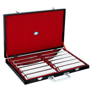 天鹅24孔复音口琴专业演奏7调/12调套装ABCDEFGA#C#D#F#G#调礼盒