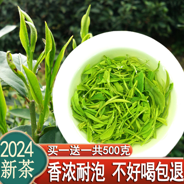 thumbnail for Maojian Tea Green Tea 2024 New Tea Xinyang Maojian Bulk Aroma Type Fried Green Tea Bag 500g Drink it yourself