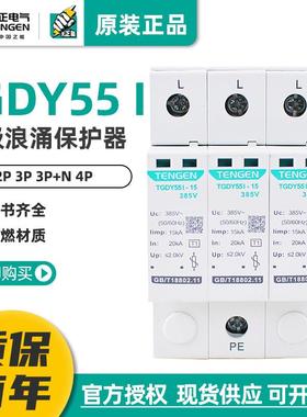 浪涌保护器TGDY55I避雷器4P三相防雷器15KA25KA一级电涌380V