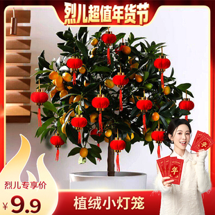【烈儿超值年货节】新款2026小红灯笼挂饰植绒盆栽树上挂件元旦