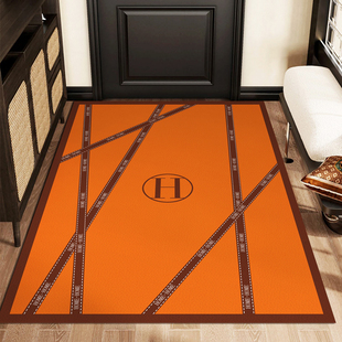 免洗PVC入户门地垫轻奢现代进门口脚垫高级感玄关地毯防滑门厅垫